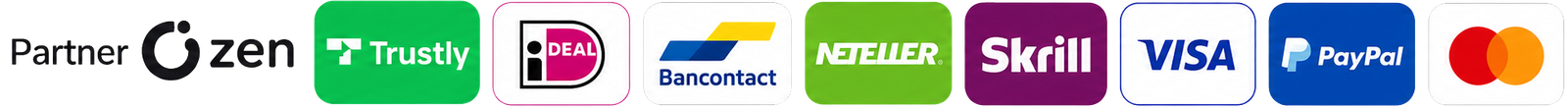 Accepted payment partners